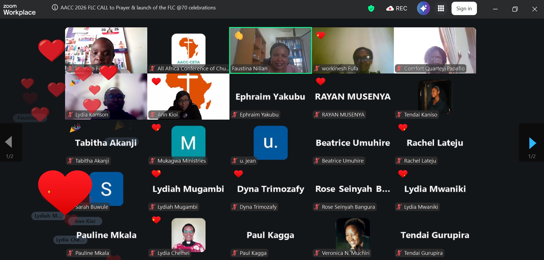 A screenshot of some of the participants during the webinar